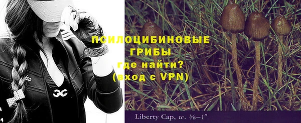 синтетический гашиш Дмитровск